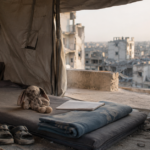 Gaza 34